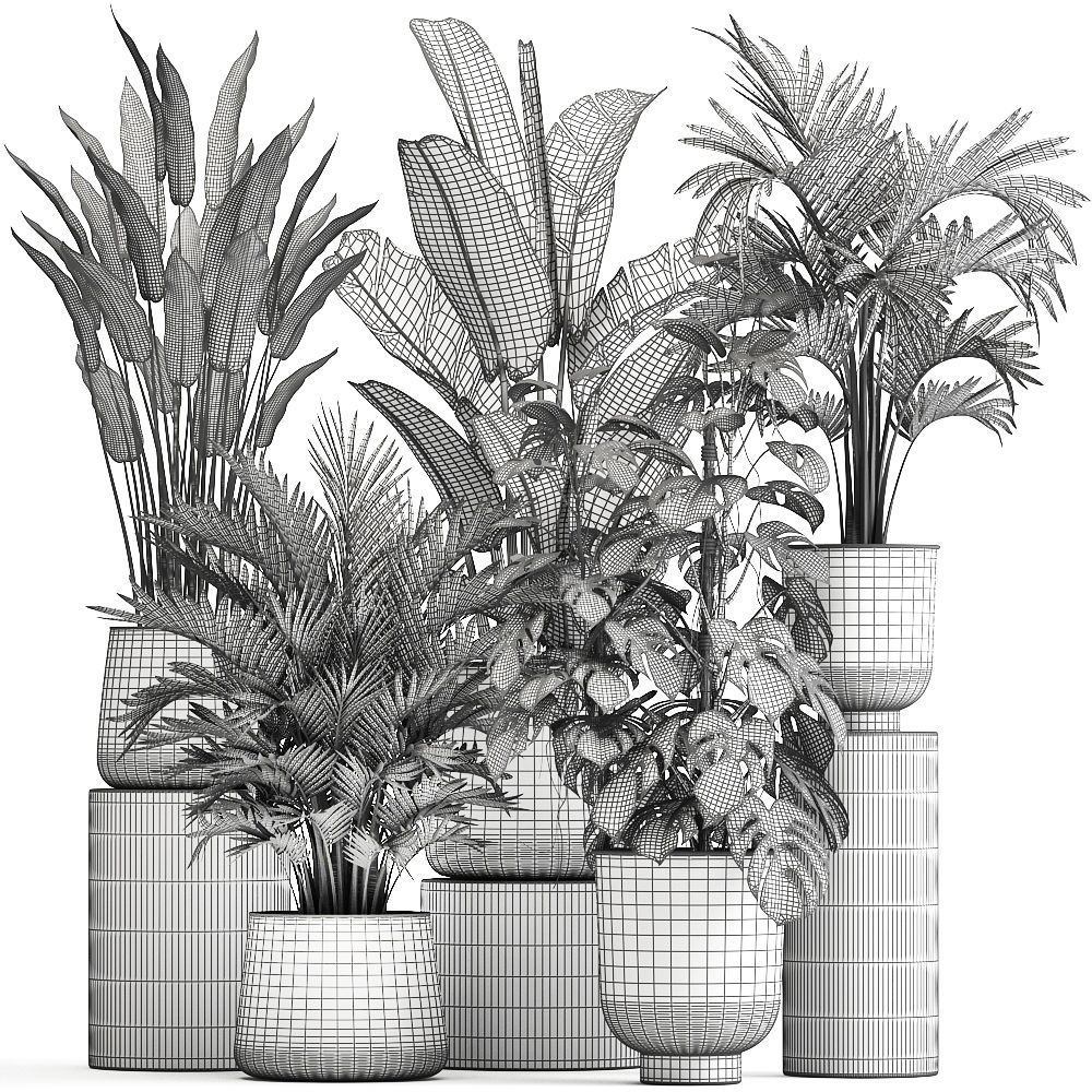 Houseplants in a flowerpot for the interior 1031 3D model_5