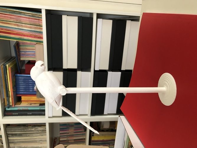 Parrot bird hanging from book shelf 3D print model