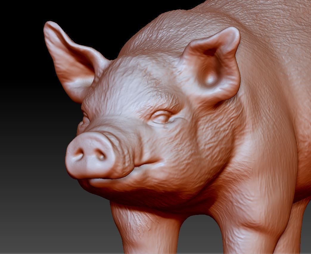 Pig Sculpture 3D print model 3D print model_2