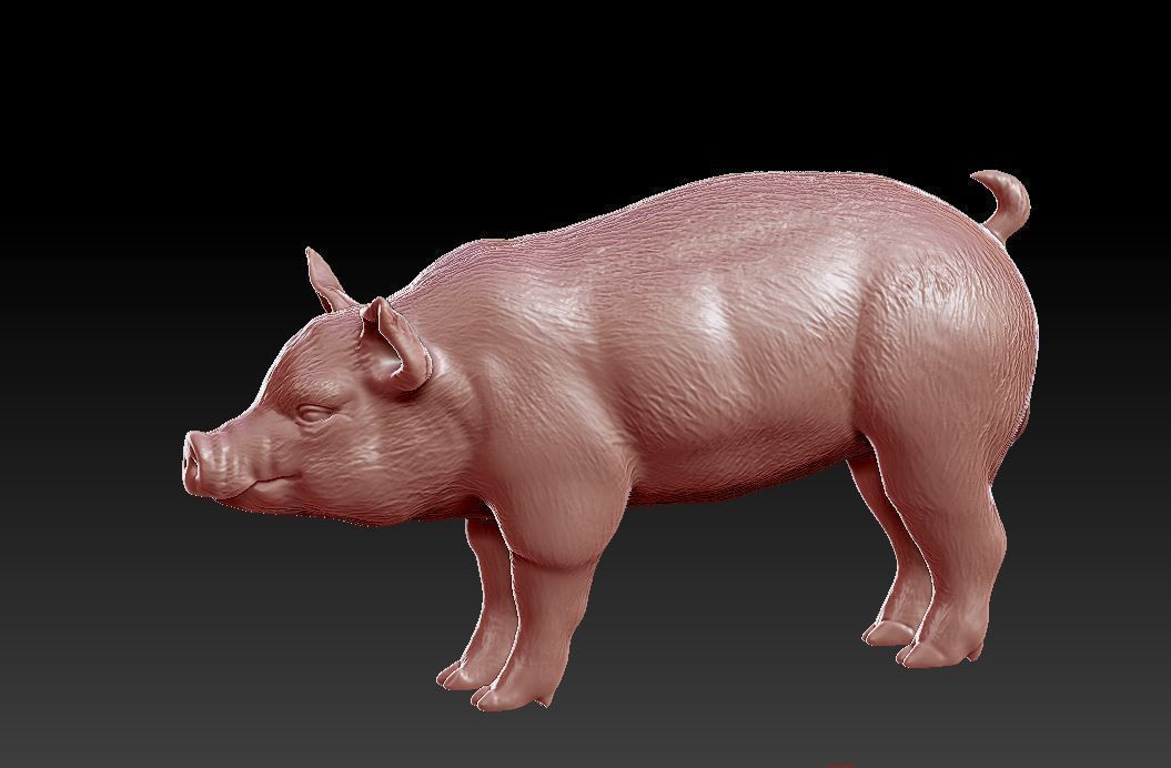 Pig Sculpture 3D print model 3D print model_1