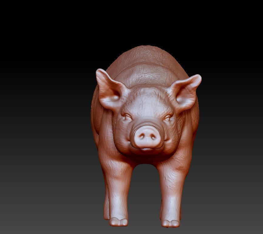 Pig Sculpture 3D print model 3D print model_5