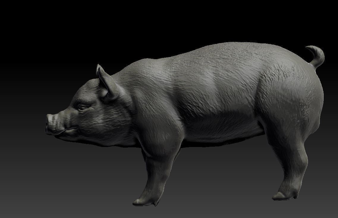 Pig Sculpture 3D print model 3D print model_6