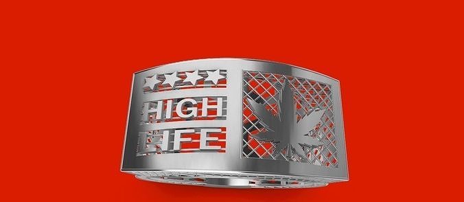 Gang ring 3D print model