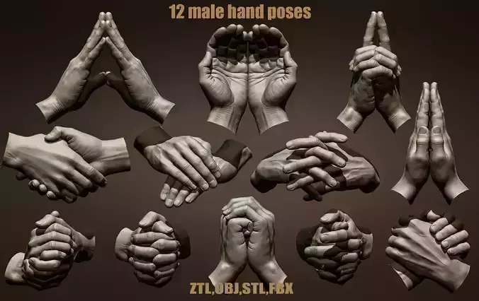 12 Male hand poses 3D model