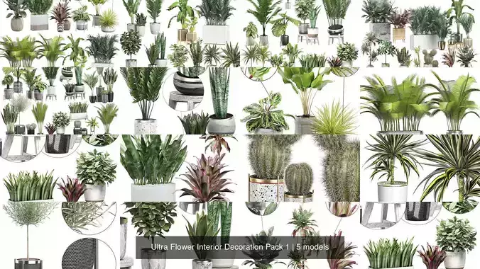 Ultra Flower Interior Decoration Pack 1 3D Model Collection