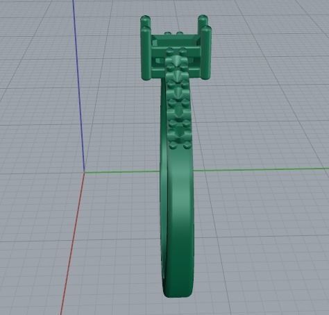 Ring 793 3D print model_6