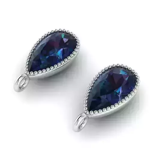 Earrings 779