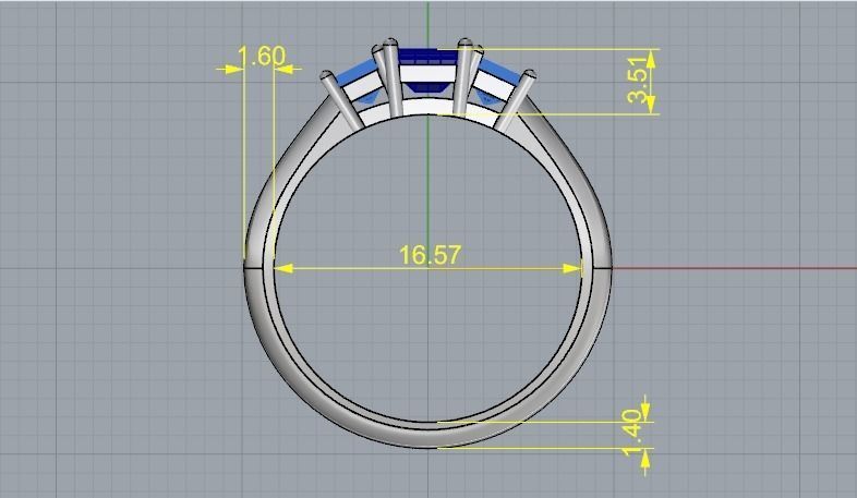 Ring 823 3D print model_4