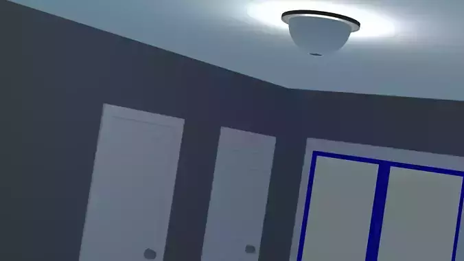 house room with two doors and ceiling light