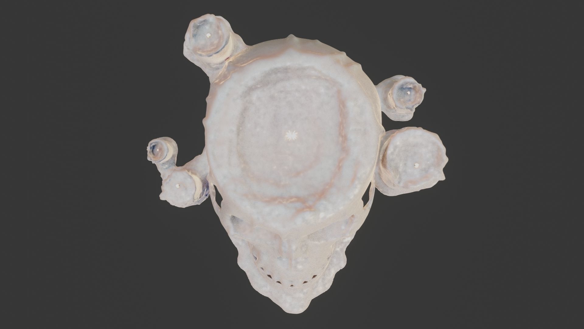 Skull candle 3D model_36