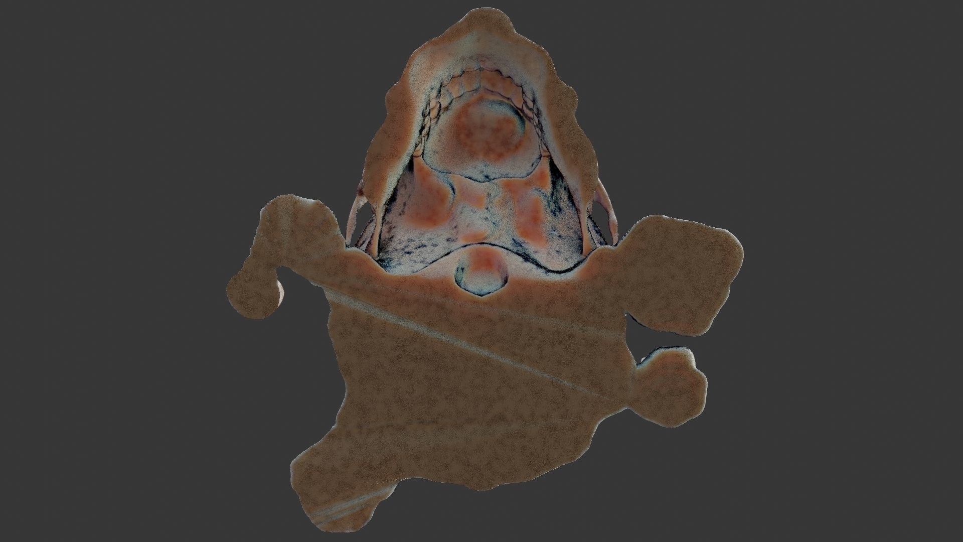 Skull candle 3D model_37