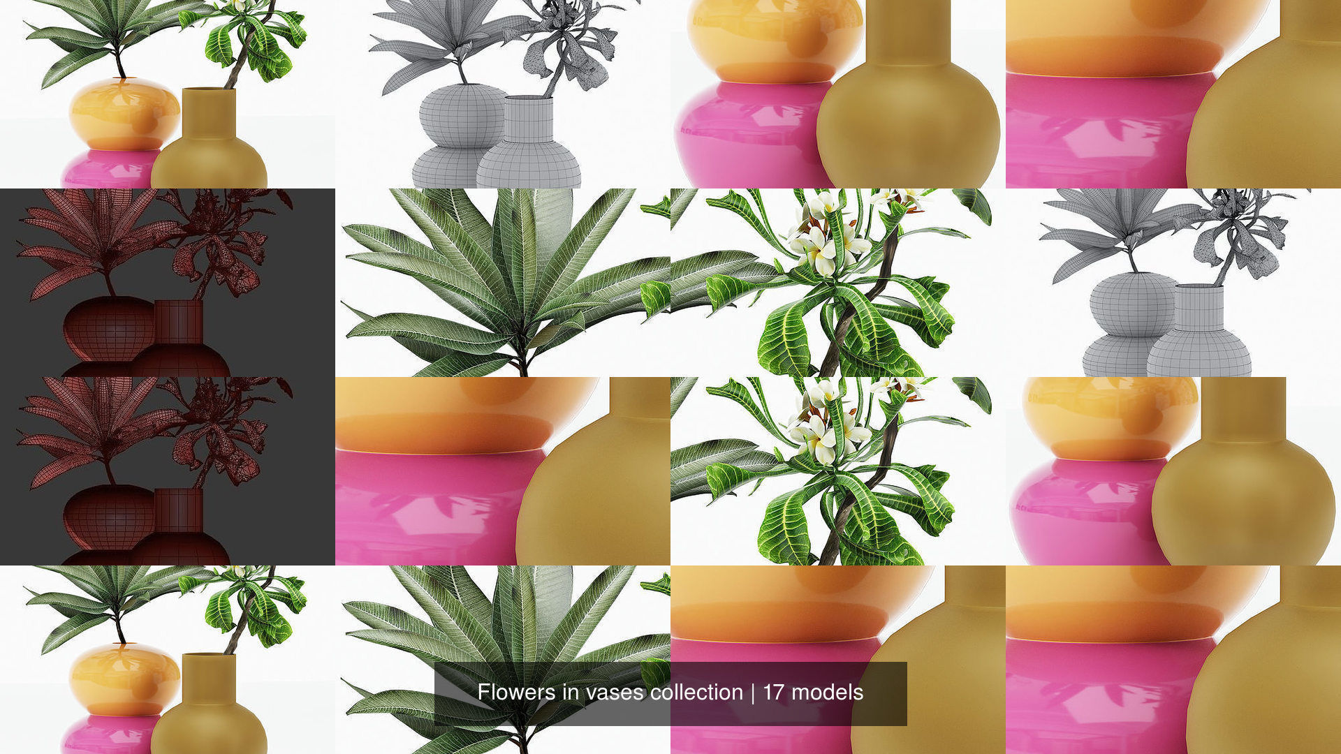 Flowers in vases collection _2