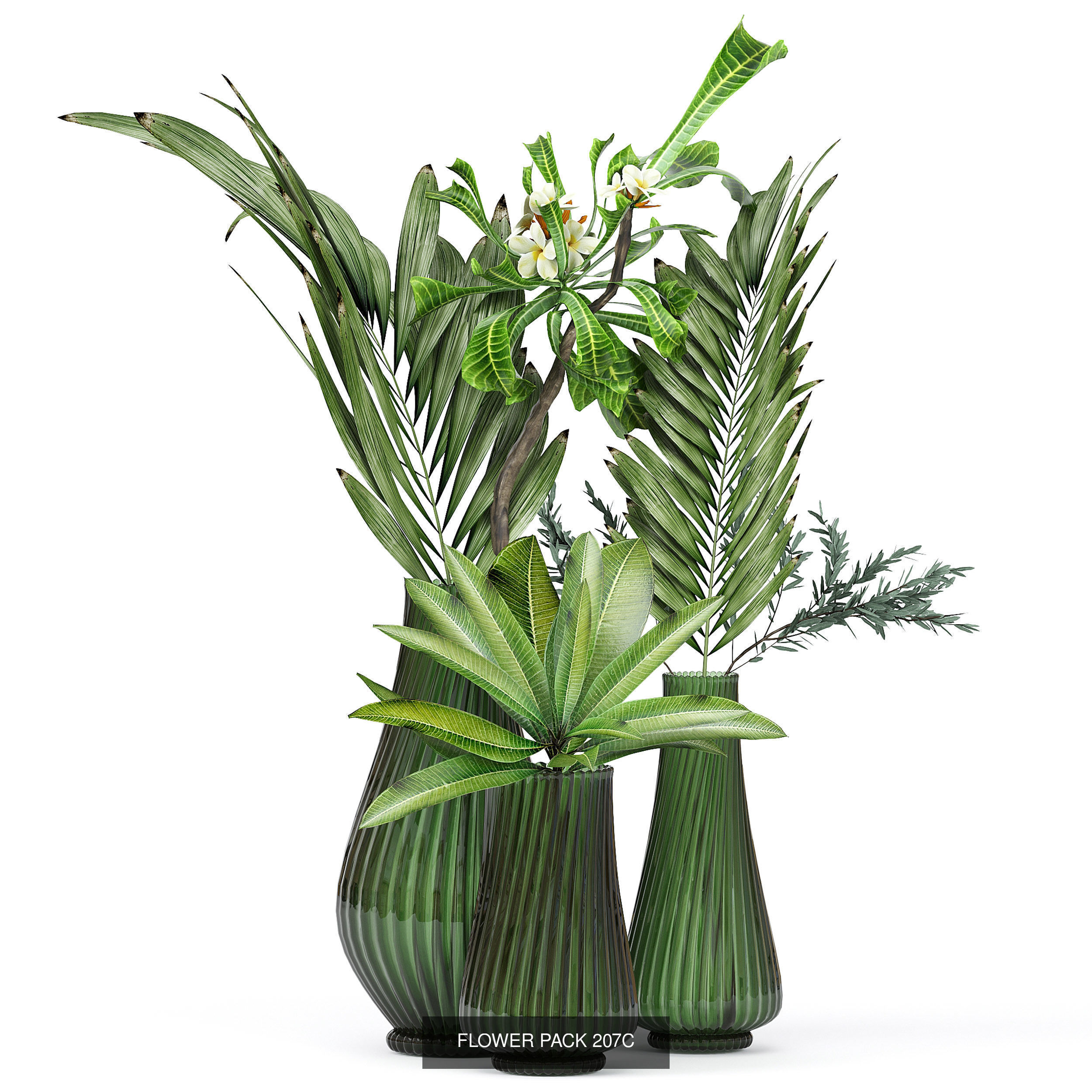 Flowers in vases collection _18