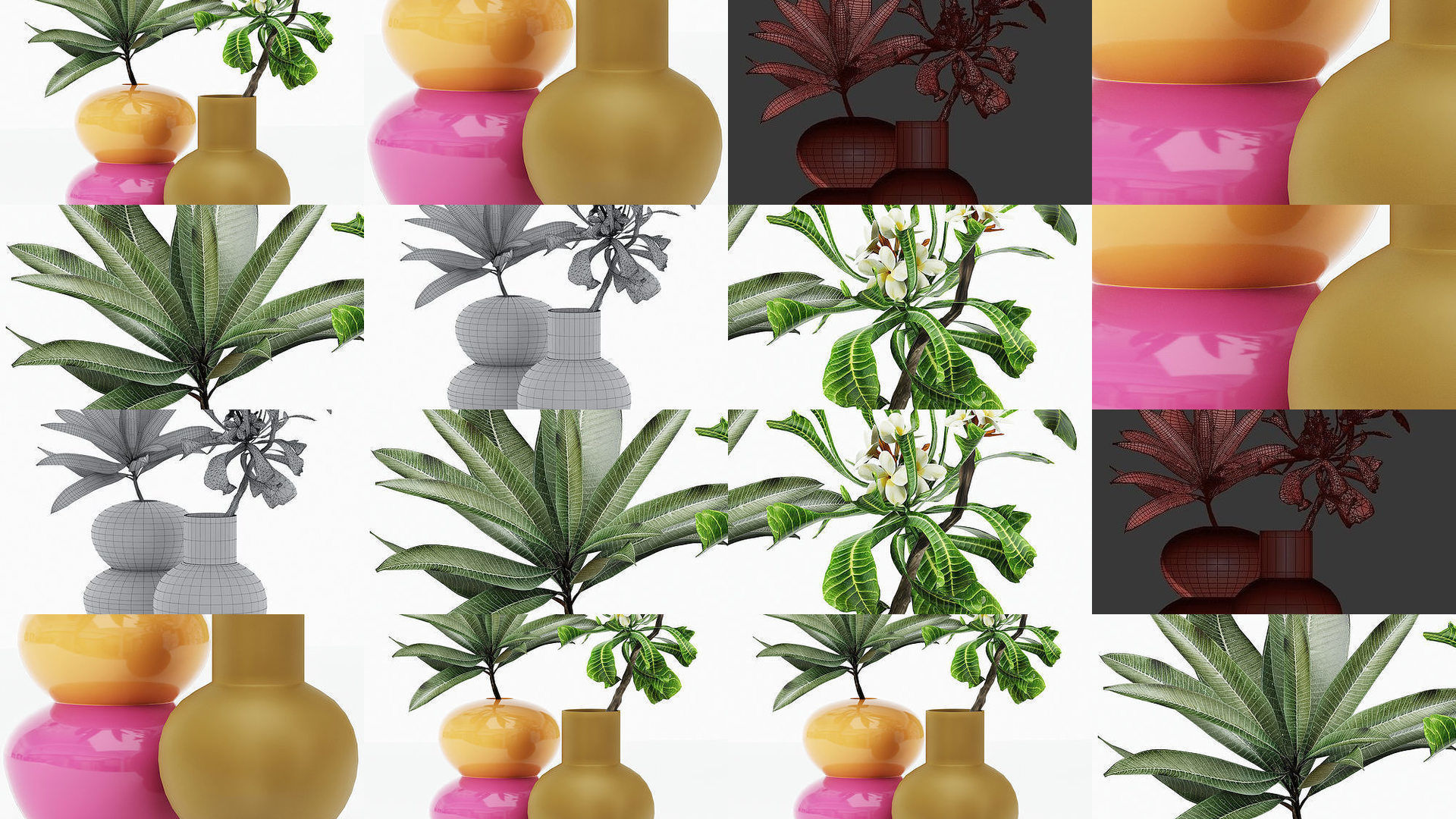 Flowers in vases collection _1