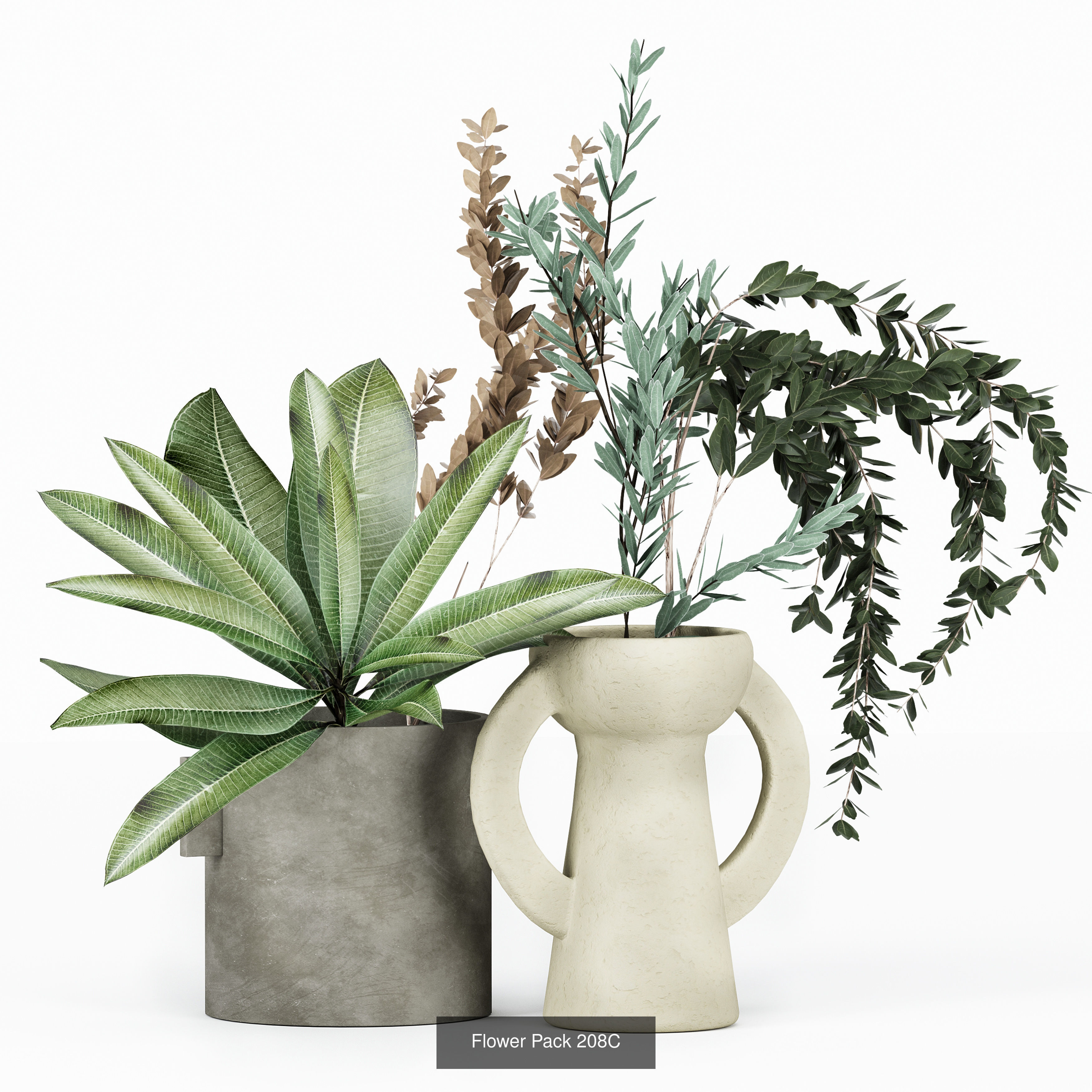 Flowers in vases collection _7