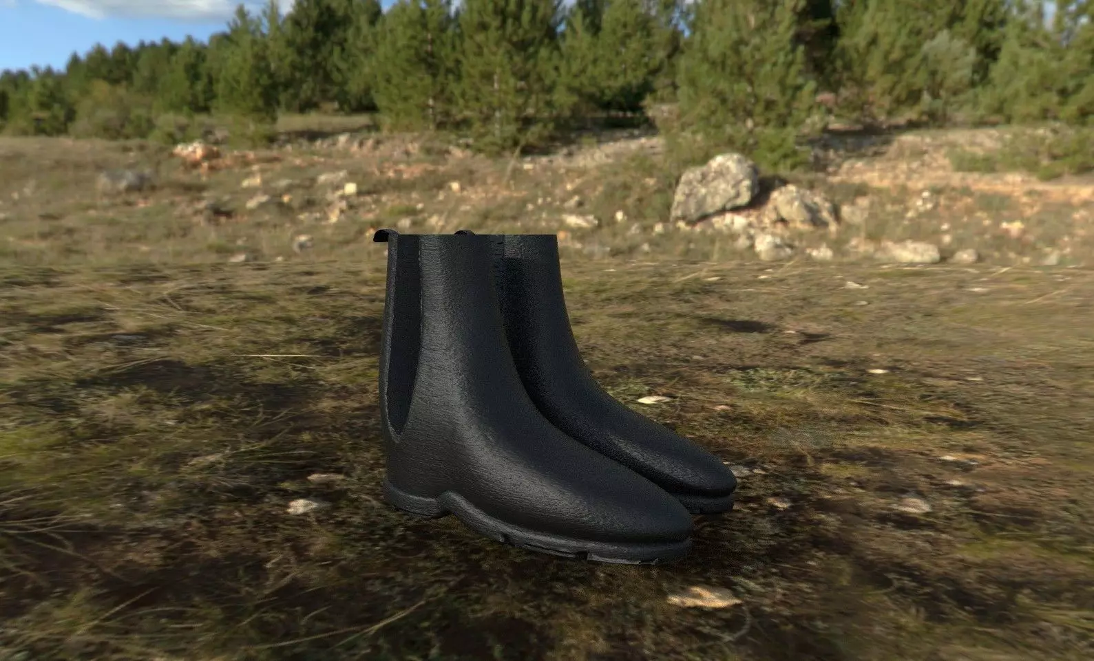 Boots rain in woods 3D model