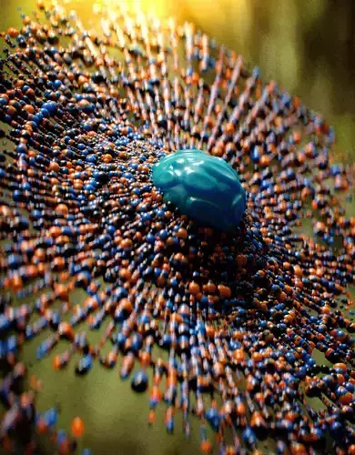 String Theory 3D model