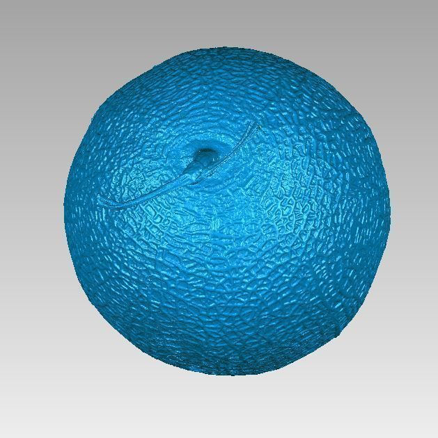 Real Honeydew Melon Natural 3D Scan High Detail 3D print model_4