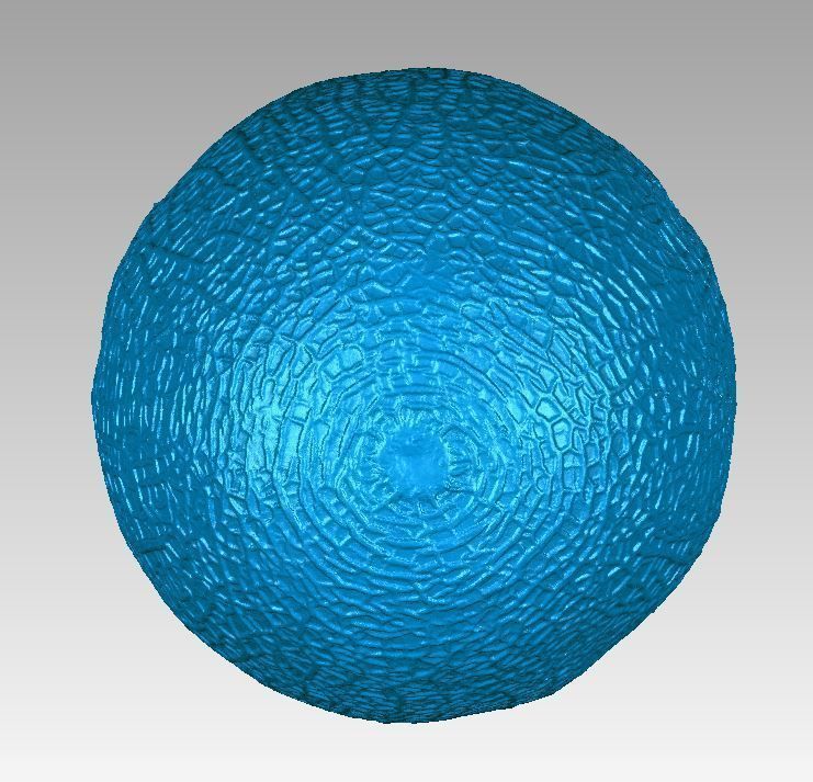 Real Honeydew Melon Natural 3D Scan High Detail 3D print model_5