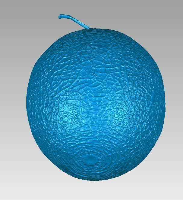 Real Honeydew Melon Natural 3D Scan High Detail 3D print model_3