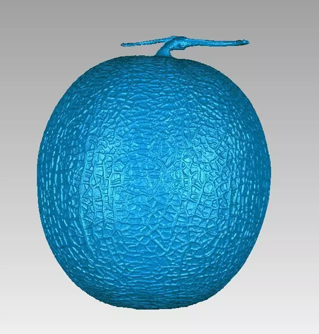 Real Honeydew Melon Natural 3D Scan High Detail 3D print model_0