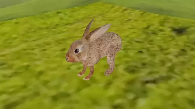 Low Poly Rabbit in grassy field Low-poly 3D model