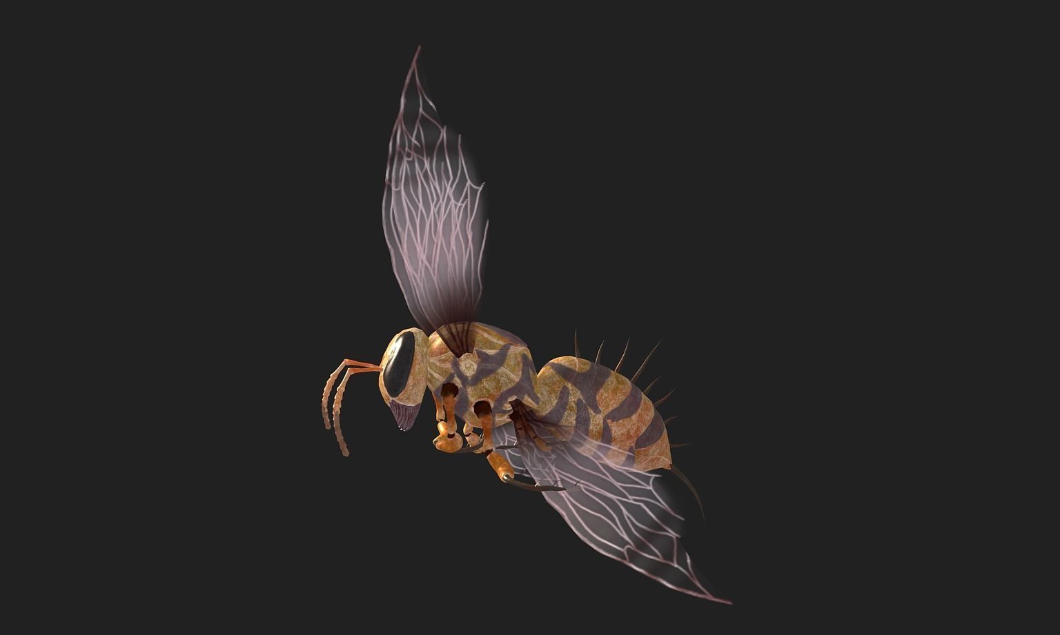 animated bee Low-poly 3D model_7