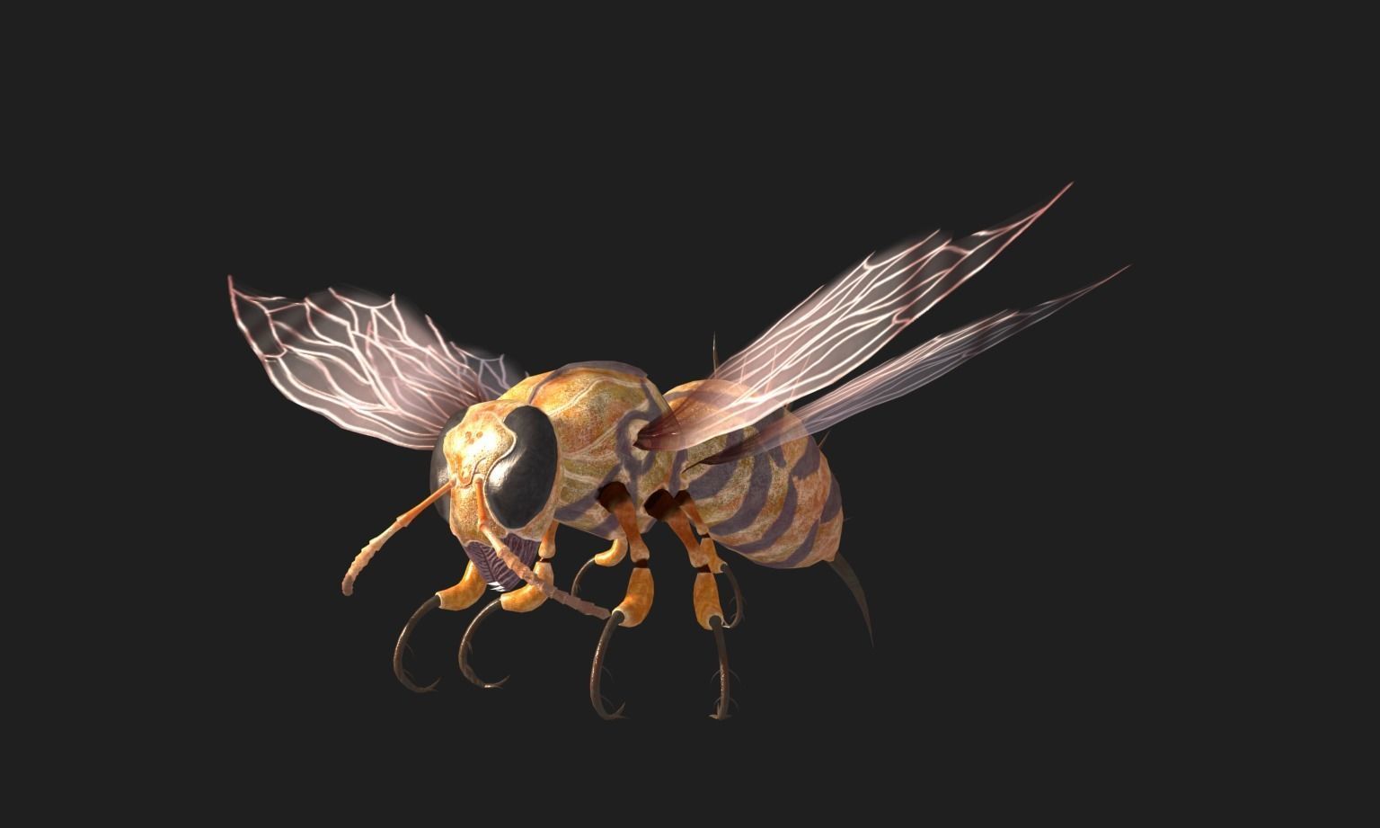 animated bee Low-poly 3D model_8