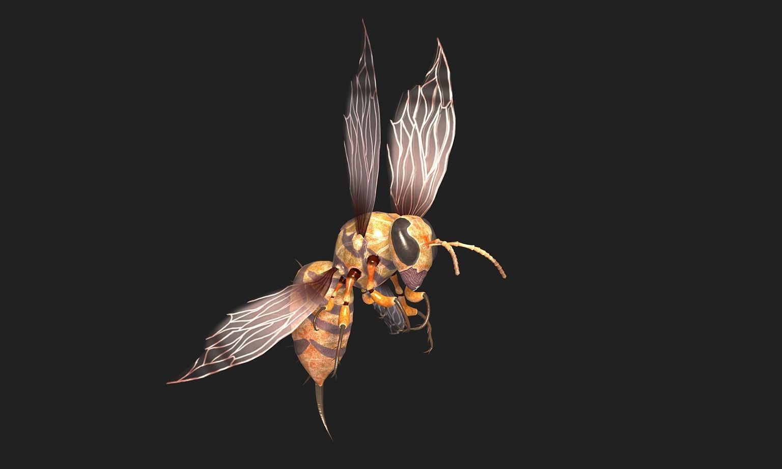 animated bee Low-poly 3D model_3