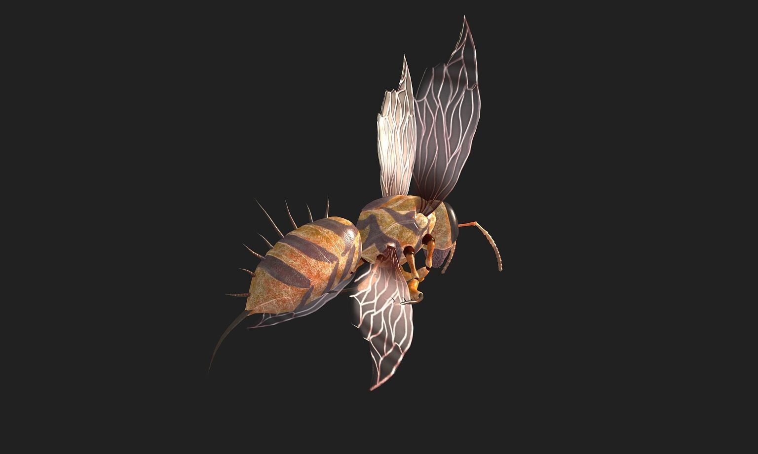 animated bee Low-poly 3D model_6