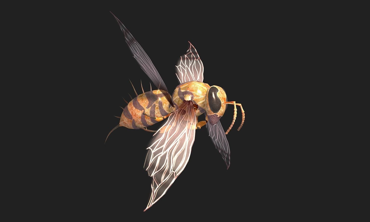 animated bee Low-poly 3D model_4