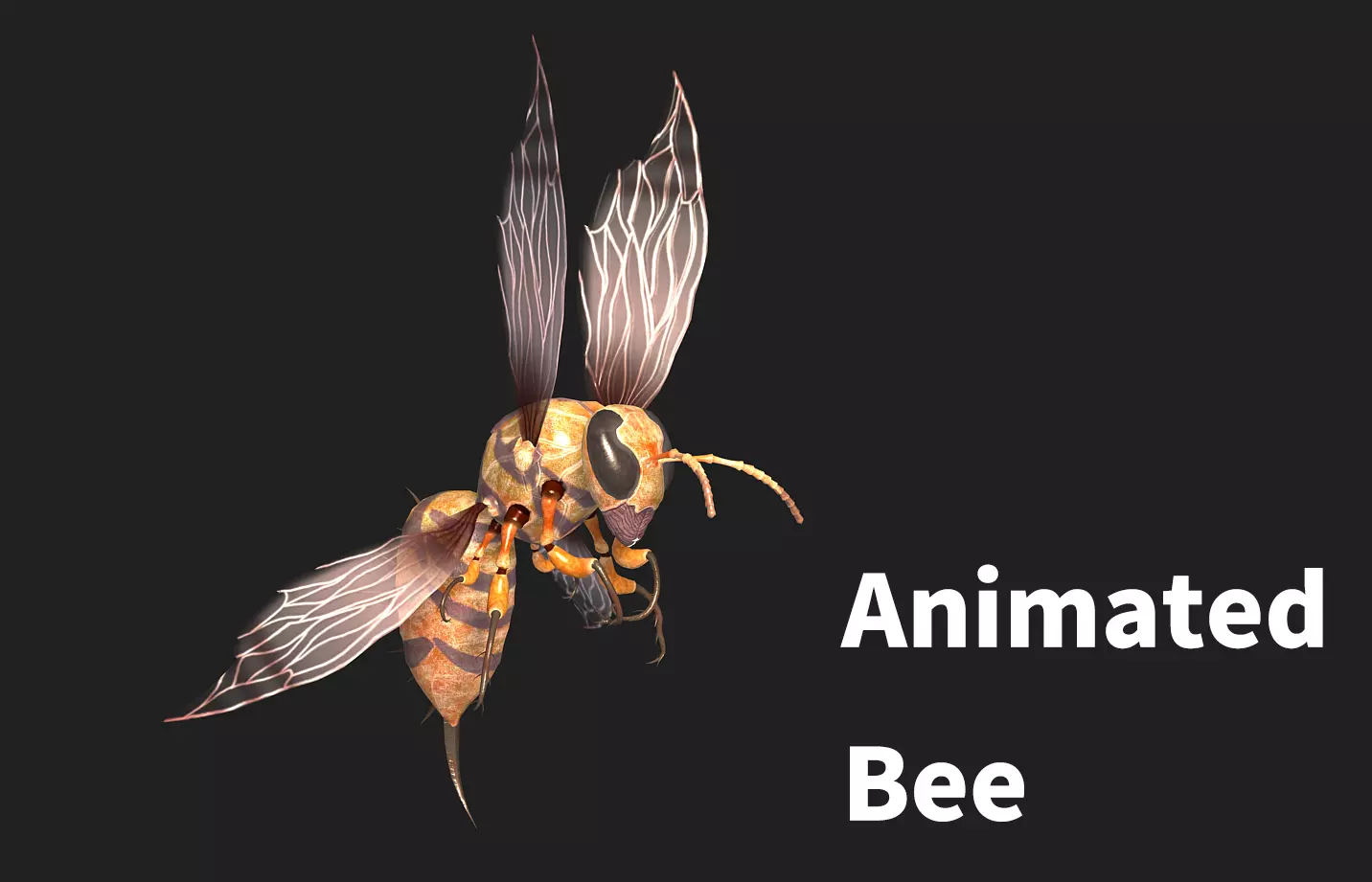 animated bee Low-poly 3D model_0