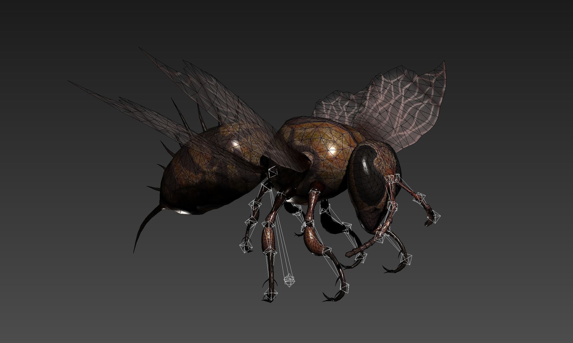 animated bee Low-poly 3D model_9