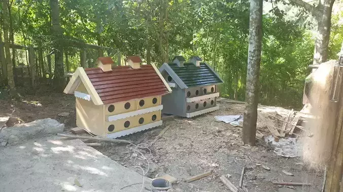 pigeon coop