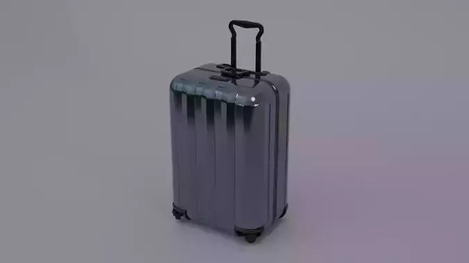 Baggage suitcase on wheels