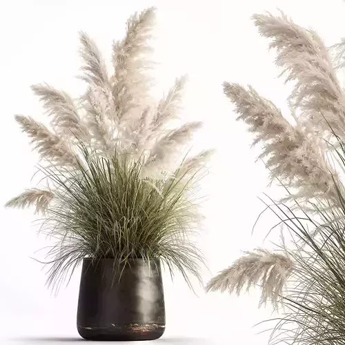 White Reeds in a rusty Flowerpot for the interior 1032