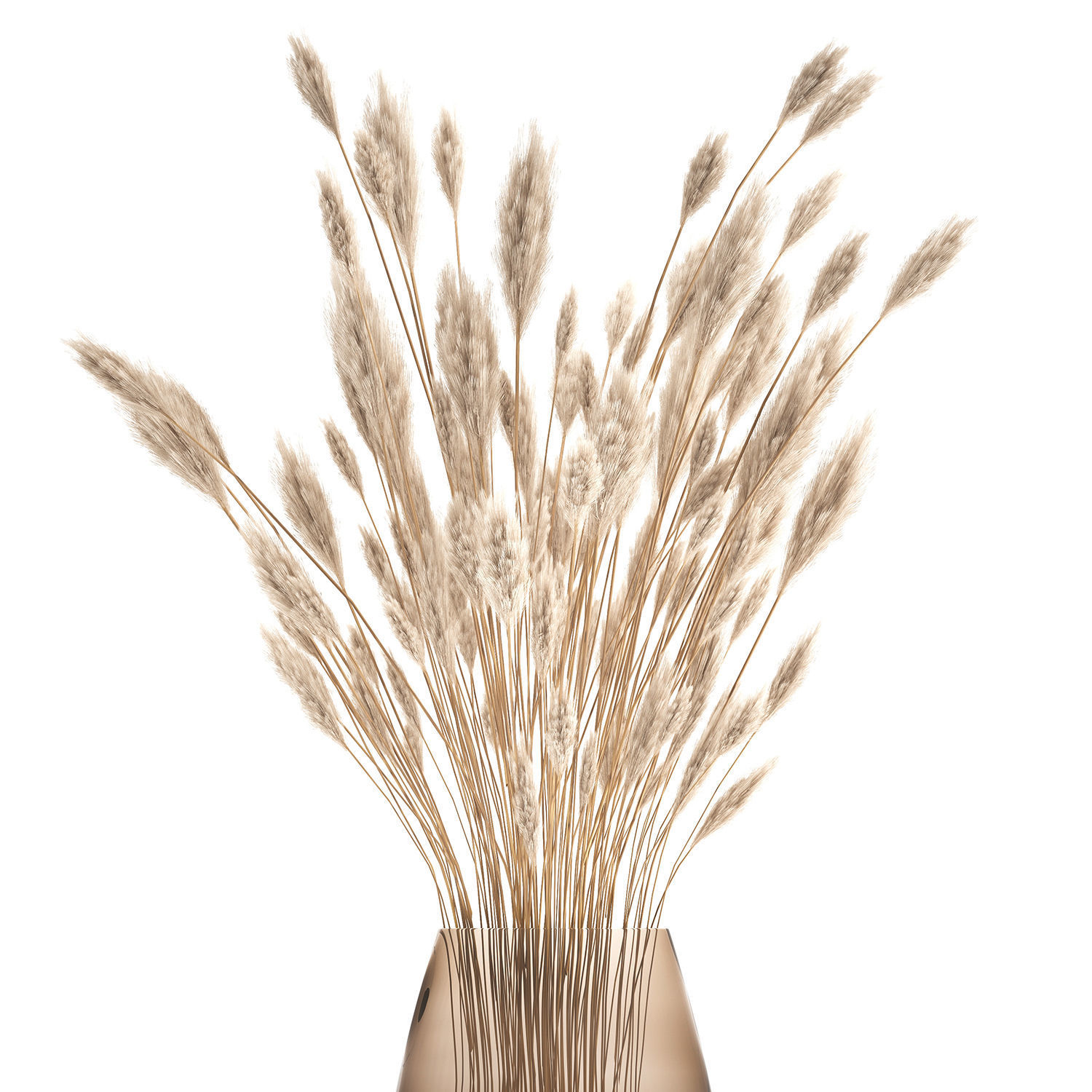 Bouquet of dried white reeds in a Vase 149 3D model_4
