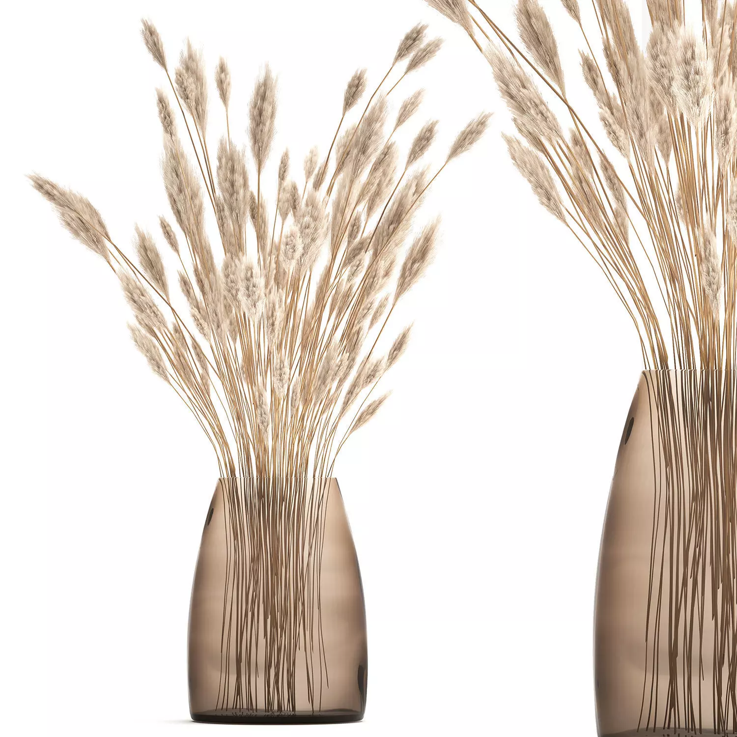 Bouquet of dried white reeds in a Vase 149 3D model_0