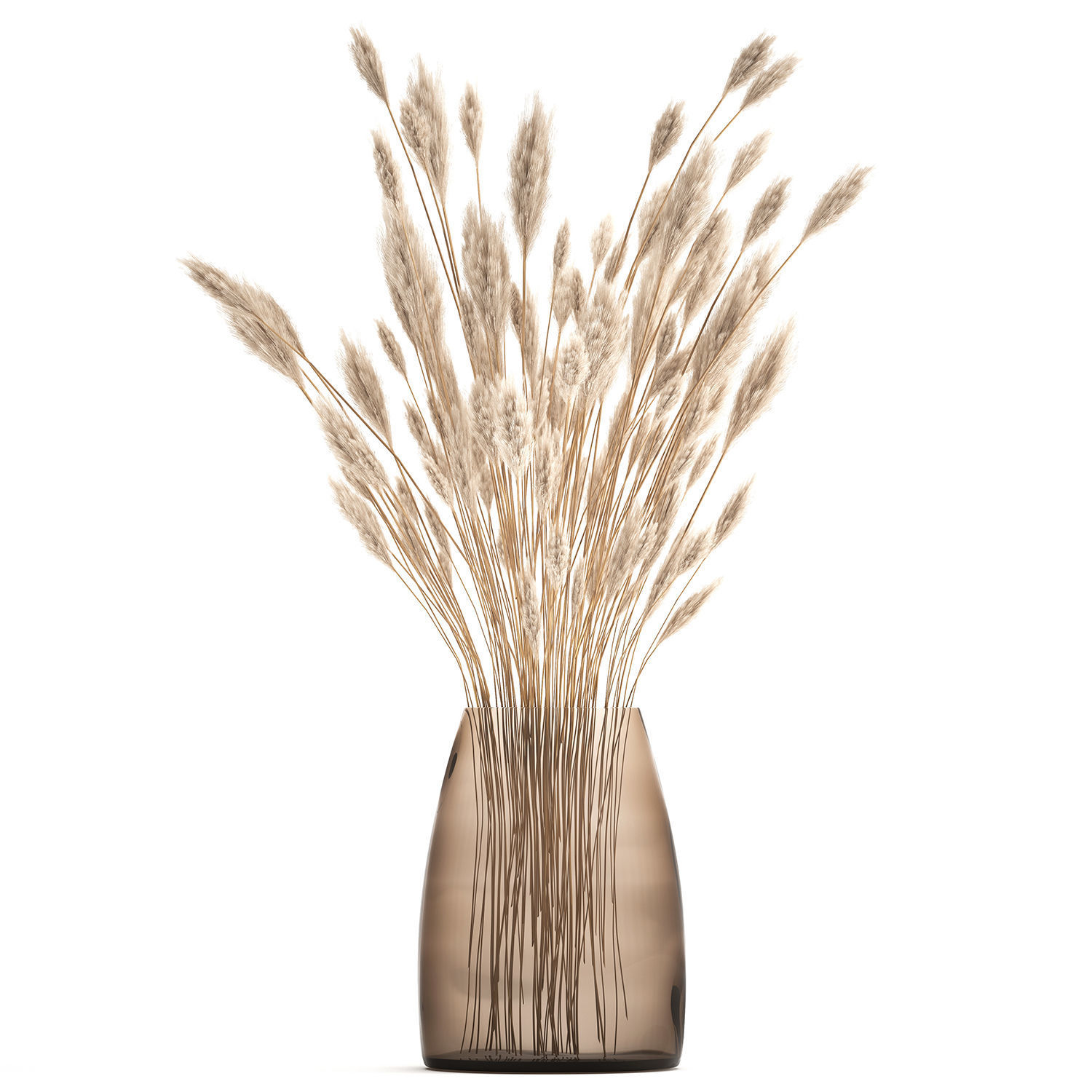 Bouquet of dried white reeds in a Vase 149 3D model_2