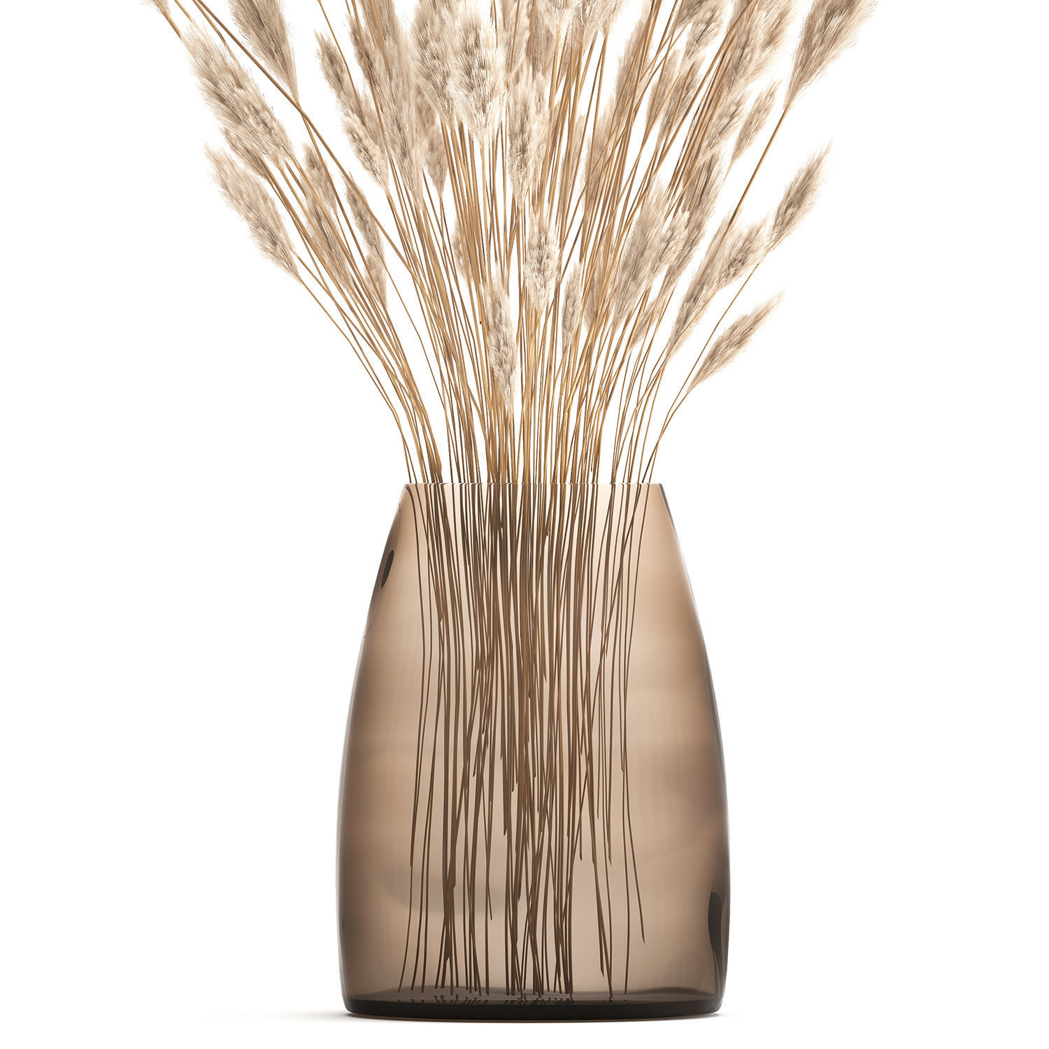 Bouquet of dried white reeds in a Vase 149 3D model_3