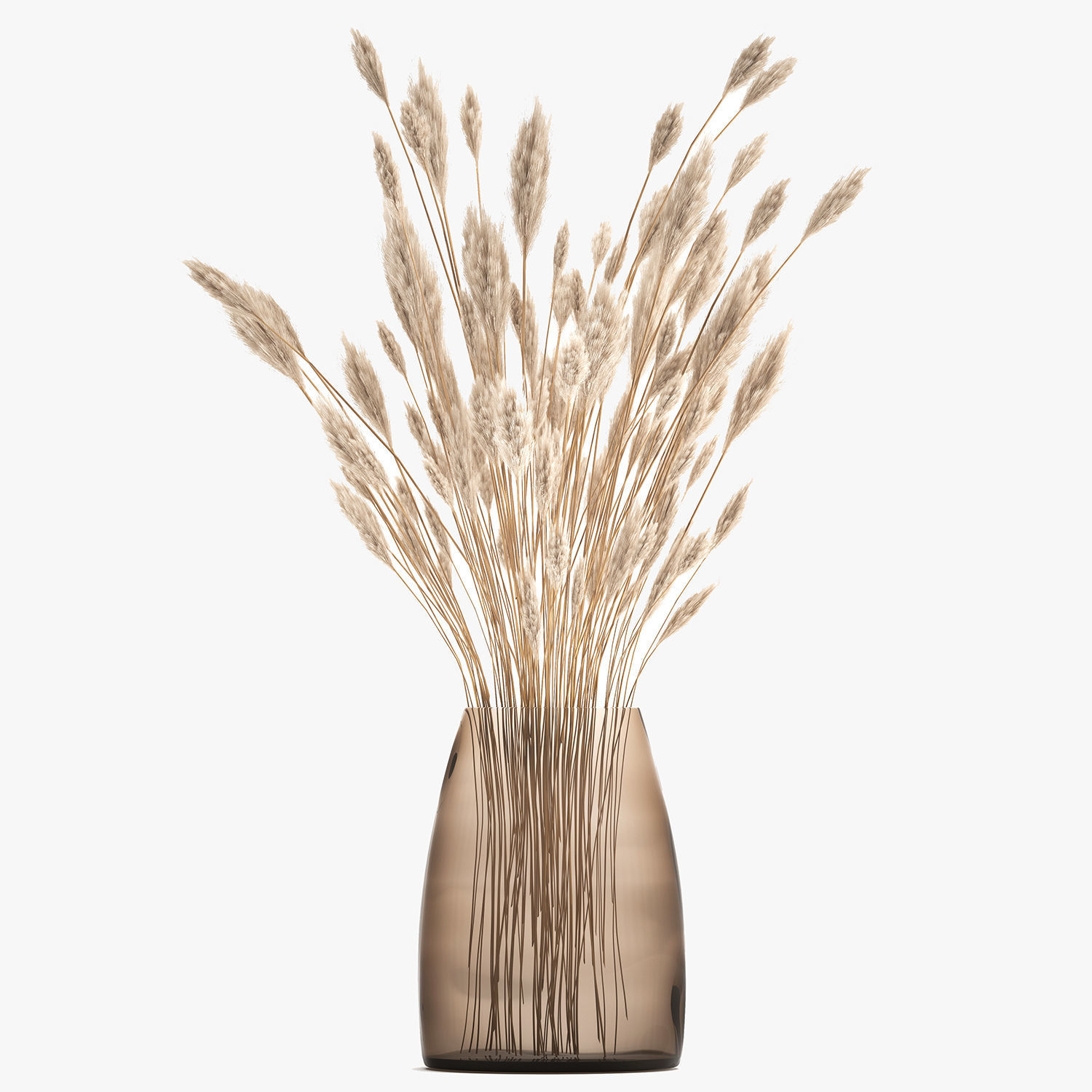 Bouquet of dried white reeds in a Vase 149 3D model_1