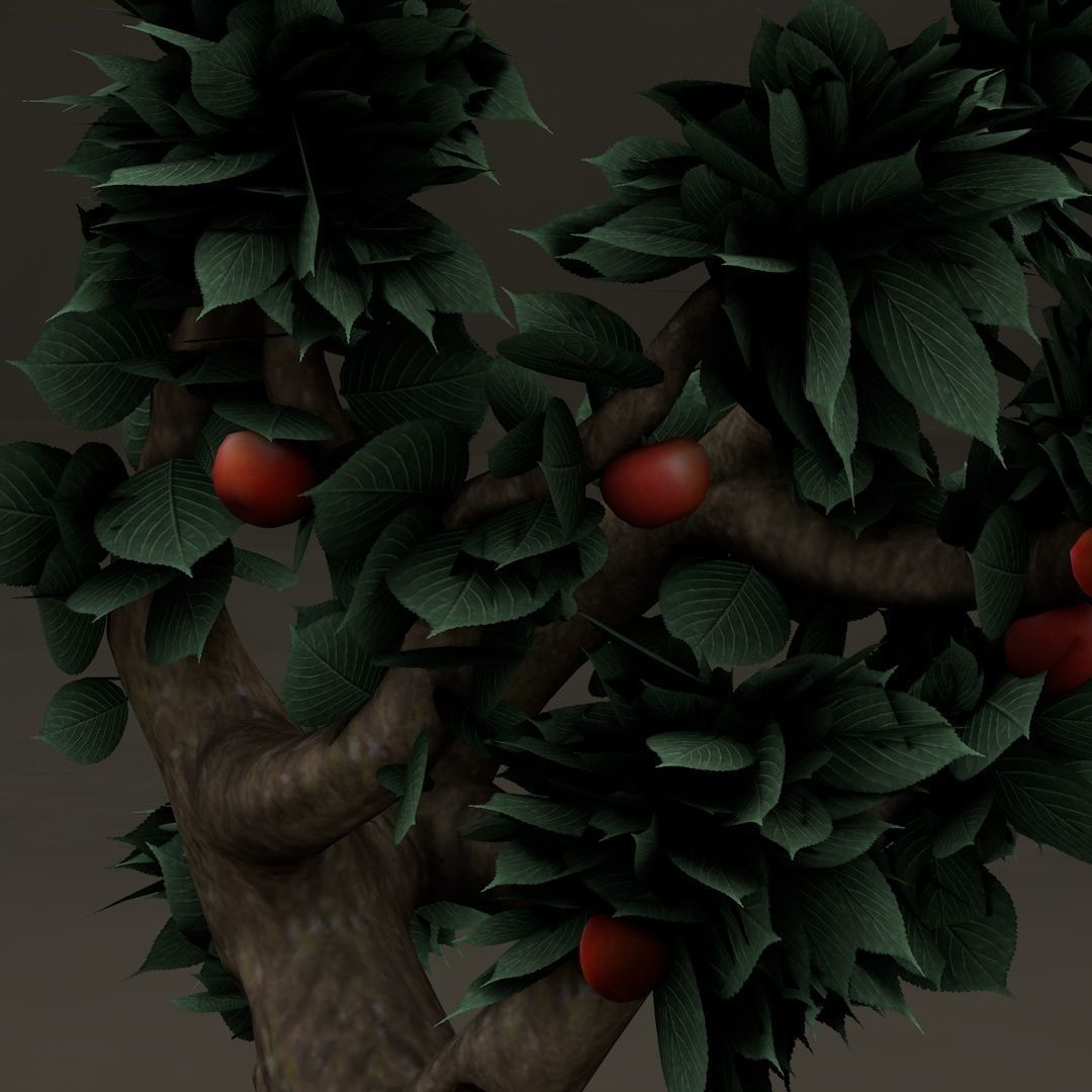 Old Apple Tree Low-poly 3D model_2