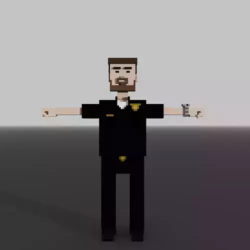Voxel Policeman