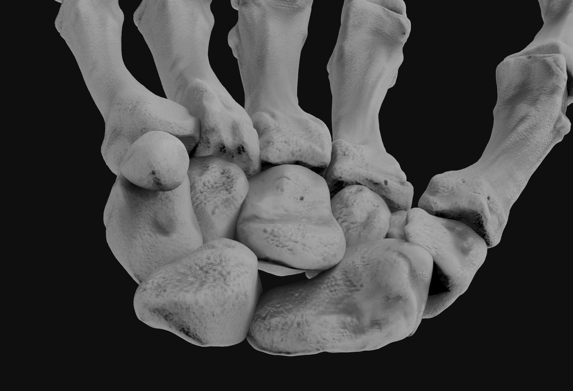 Skeleton Hand 3D print model_3