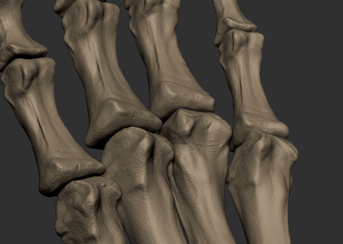 Skeleton Hand 3D print model_10