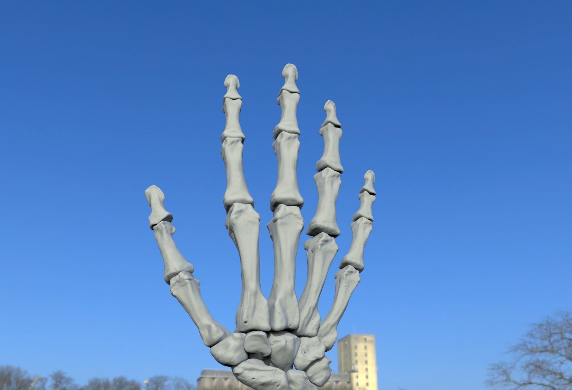Skeleton Hand 3D print model_2