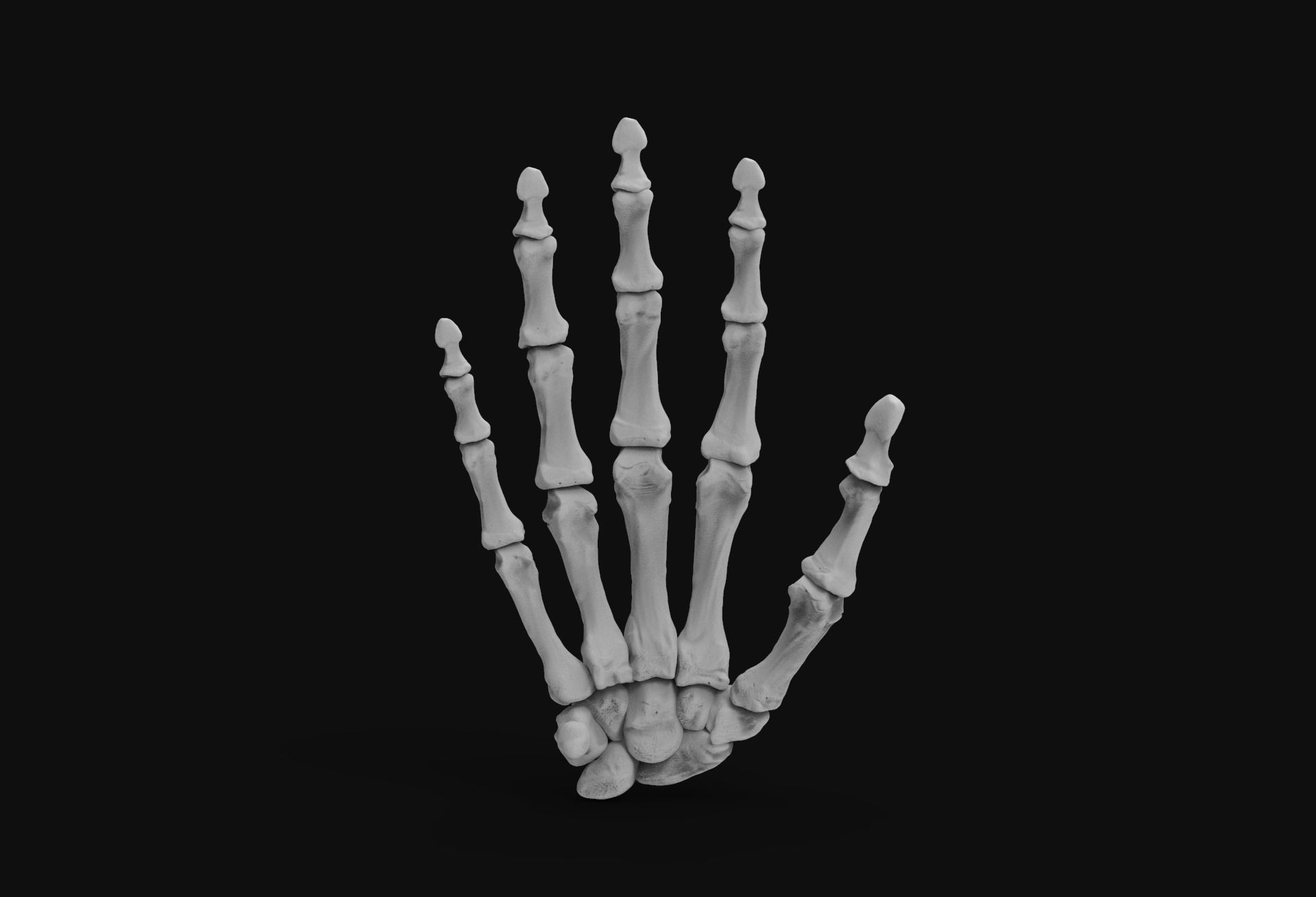 Skeleton Hand 3D print model_4