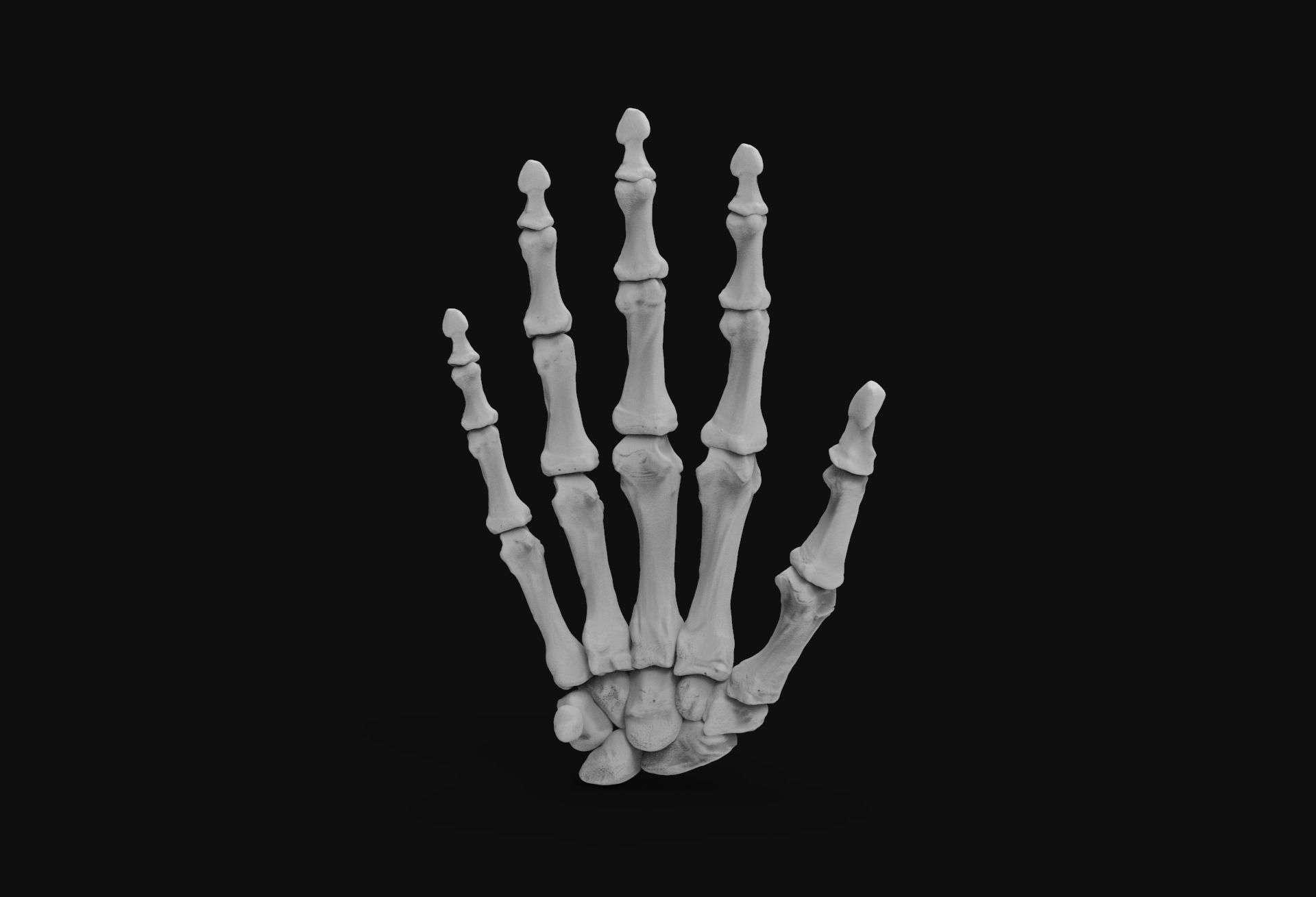 Skeleton Hand 3D print model_5