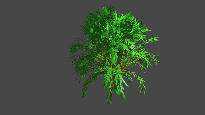 A Tree bamboo plant 3D model