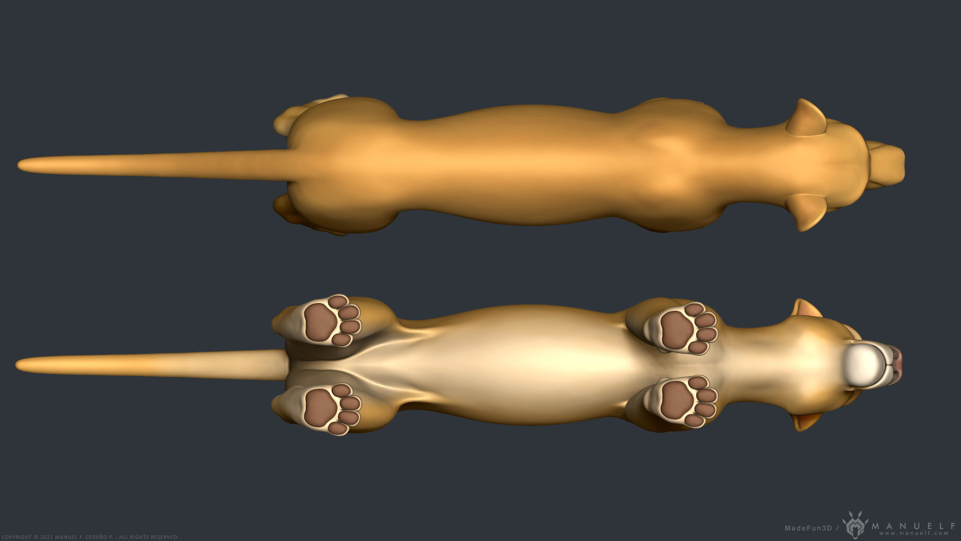 Stylized Cartoon Lion 3D model_12